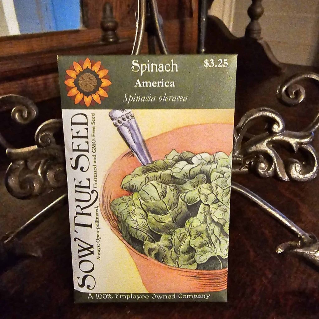 America Spinach Seeds – COOL BEANS N SPROUTS Heirloom, Non-GMO – Full Sun, Annual, Edible