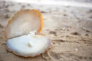 Healing With Crystals And Plants Pearl Stone On The Beach