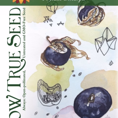 Tomatillo Seeds - Purple with printed label