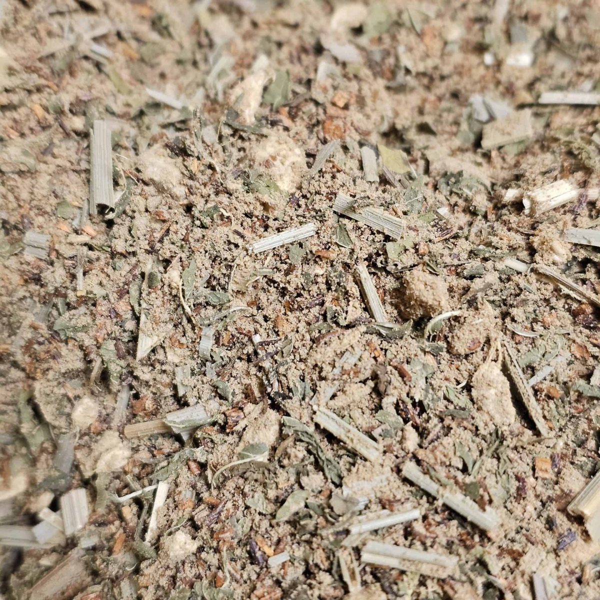 Mushroom Tea 10-15 Cups - Image 3