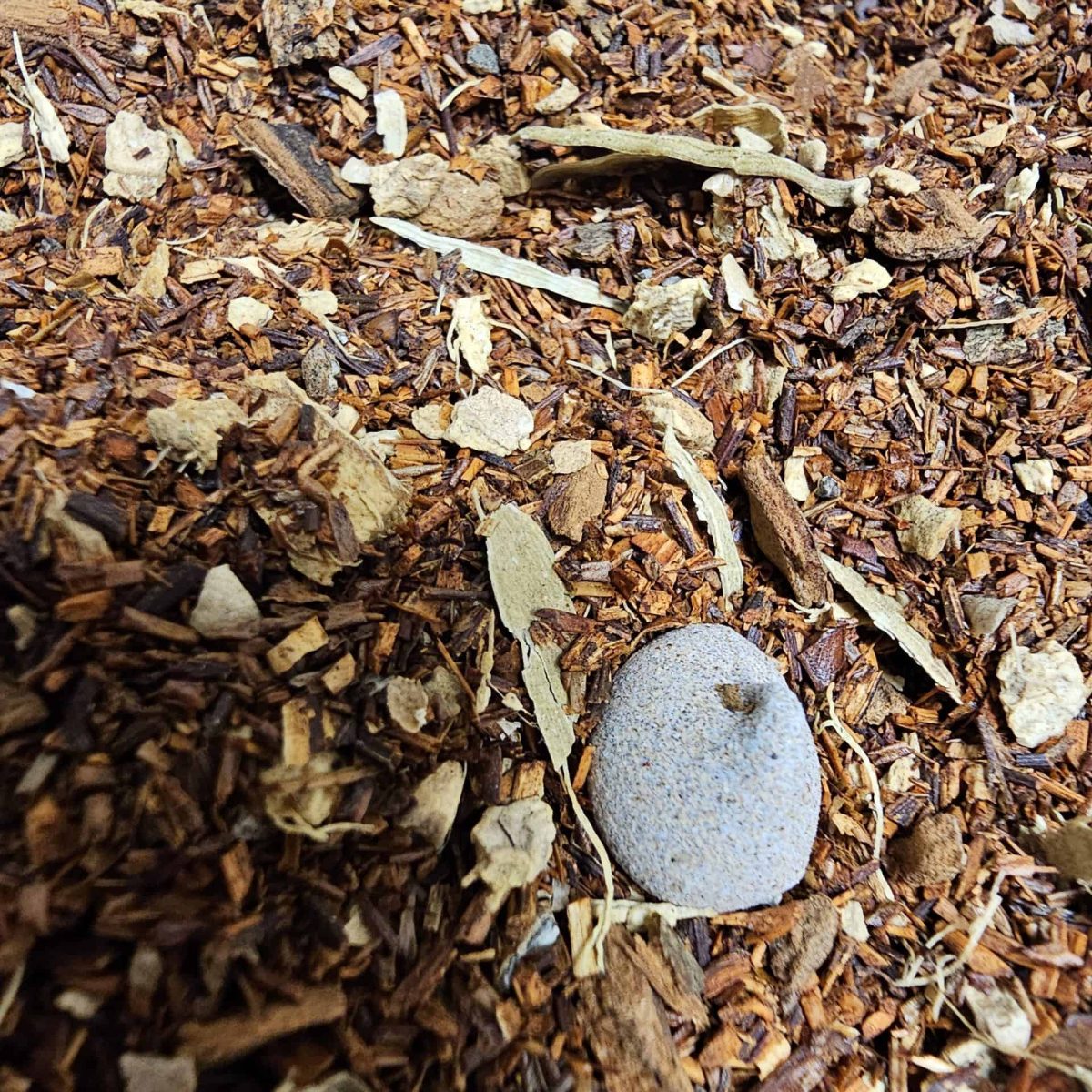 1000056109-2.Jpg Chocolate Chai Tea - Image 1