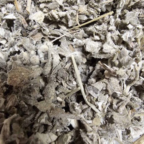 Fatigue Wakeful Tea