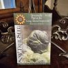 Brussels Sprouts Seeds - Long Island