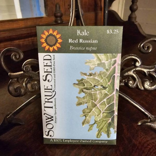 Kale Seeds - Red Russian with printed label