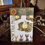 Cabbage Seeds - Early Jersey Wakefield with printed label