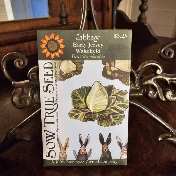 Cabbage Seeds - Early Jersey Wakefield with printed label