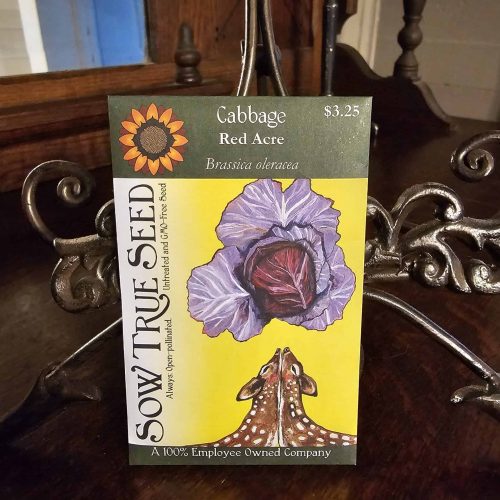 Cabbage Seeds - Red Acre with printed label