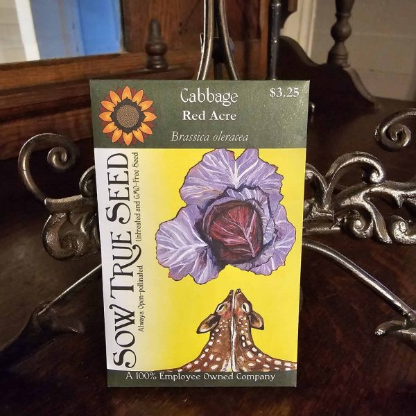Cabbage Seeds - Red Acre with printed label