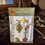 Beet Seeds - Rainbow Blend