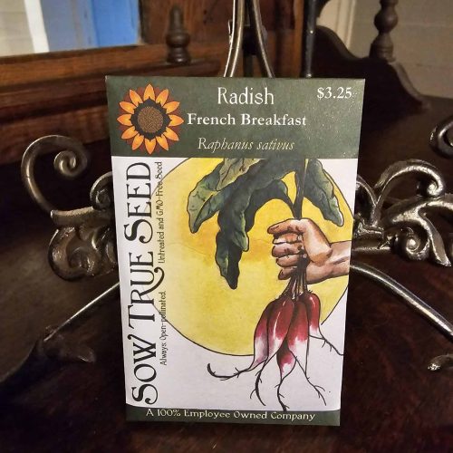 Radish Seeds - French Breakfast with printed label