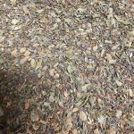 Stop Sugar Cravings Tea