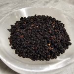 Elder Berries