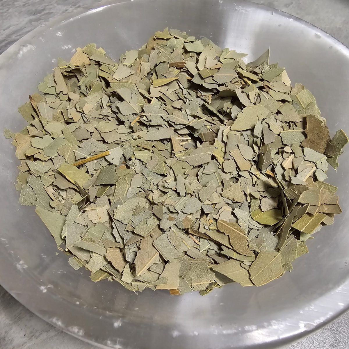1000080962-Scaled-1.Jpg Eucalyptus - Image 1