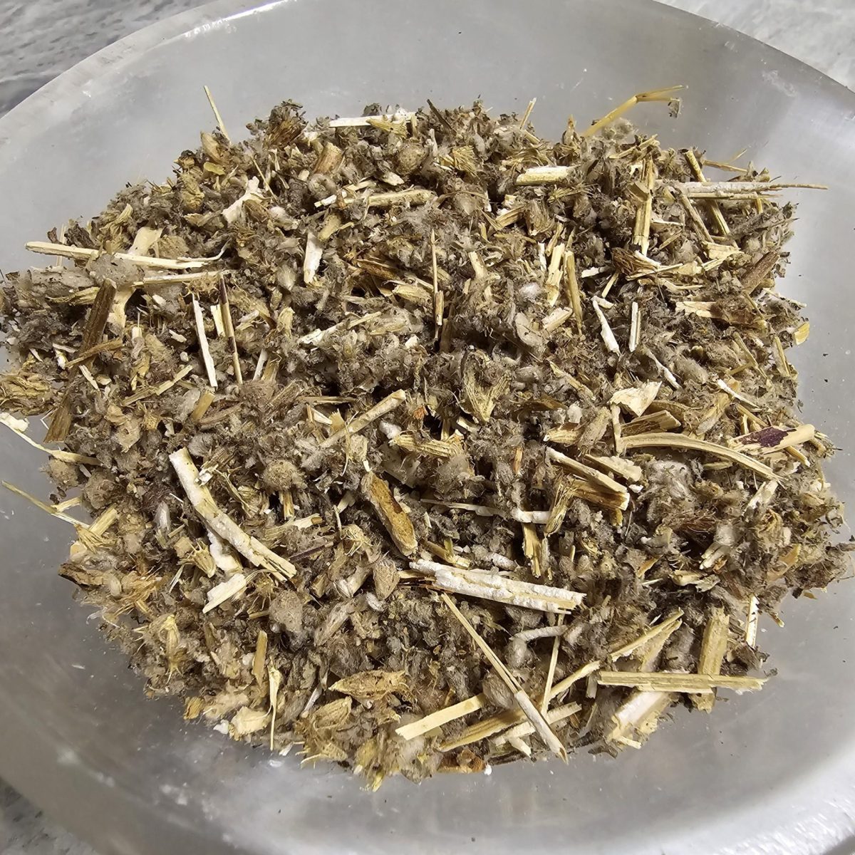 1000080967-Scaled-1.Jpg Horehound - Image 1