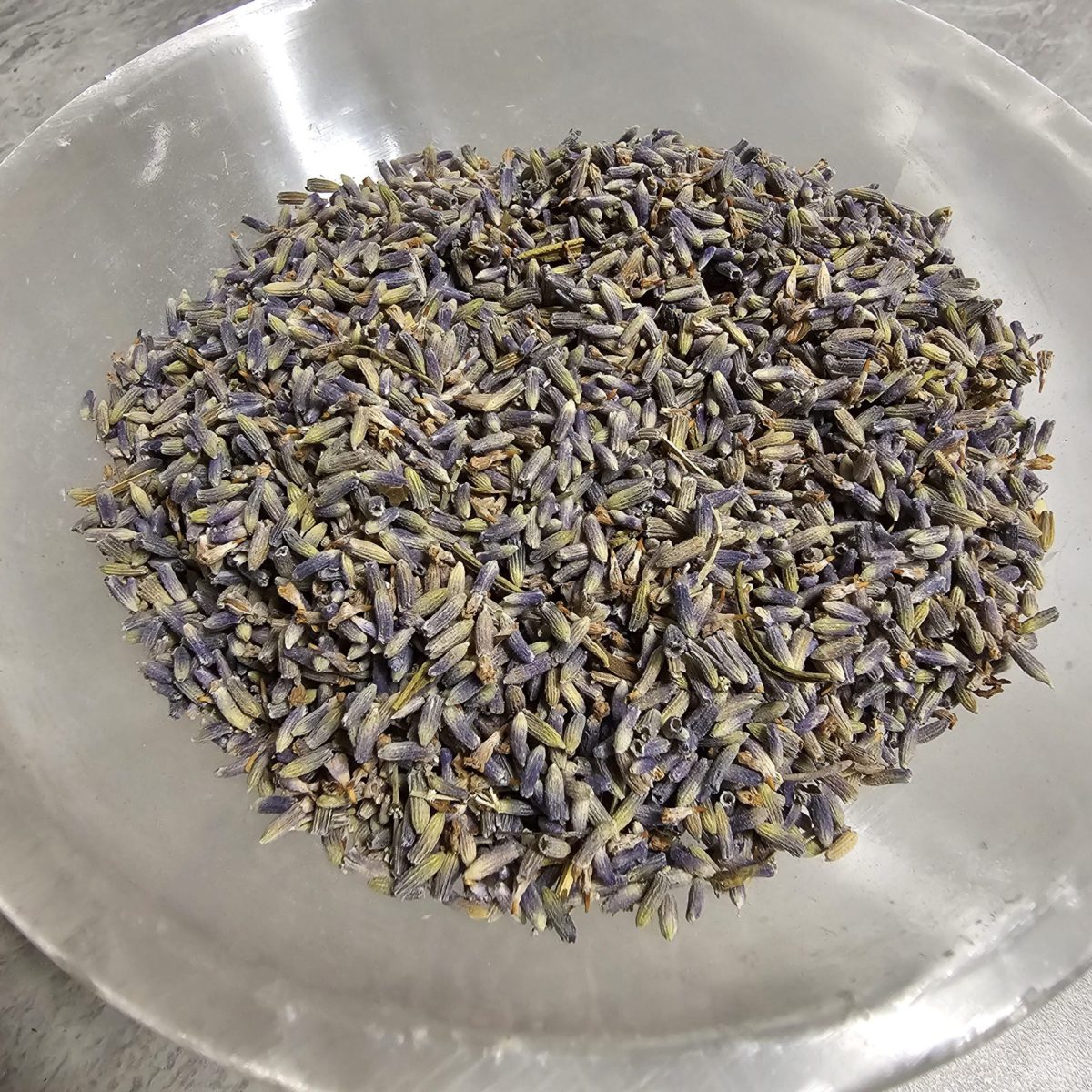 1000080989-Scaled-1.Jpg Lavender Flower - Image 1