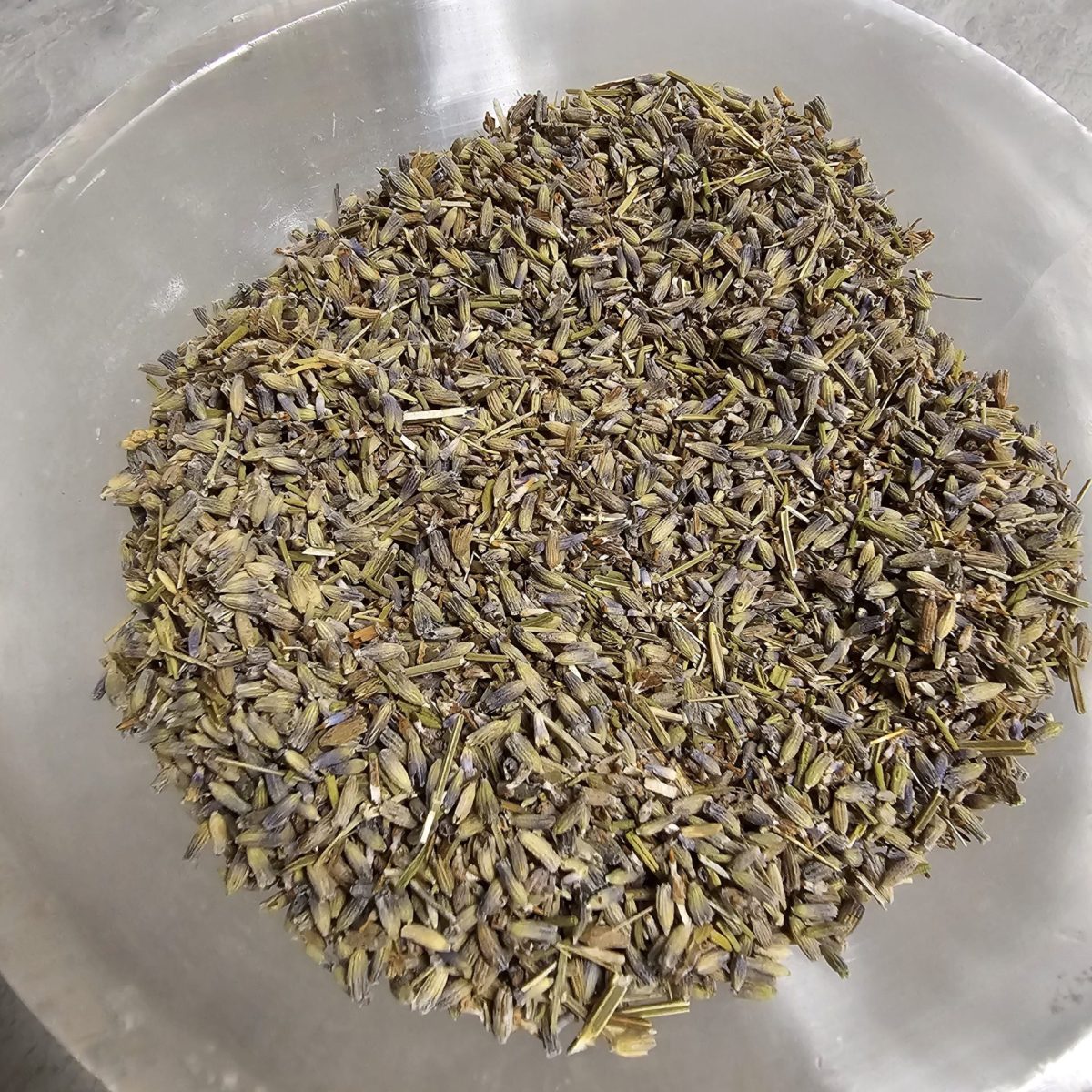 1000080990-Scaled-1.Jpg Lavender Flower English - Image 1