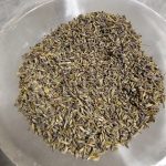 Lavender Flower English