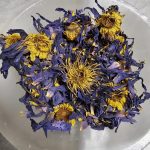 A bowl of dried Lotus Egyptian Blue Flower herb