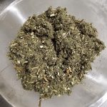 Mugwort