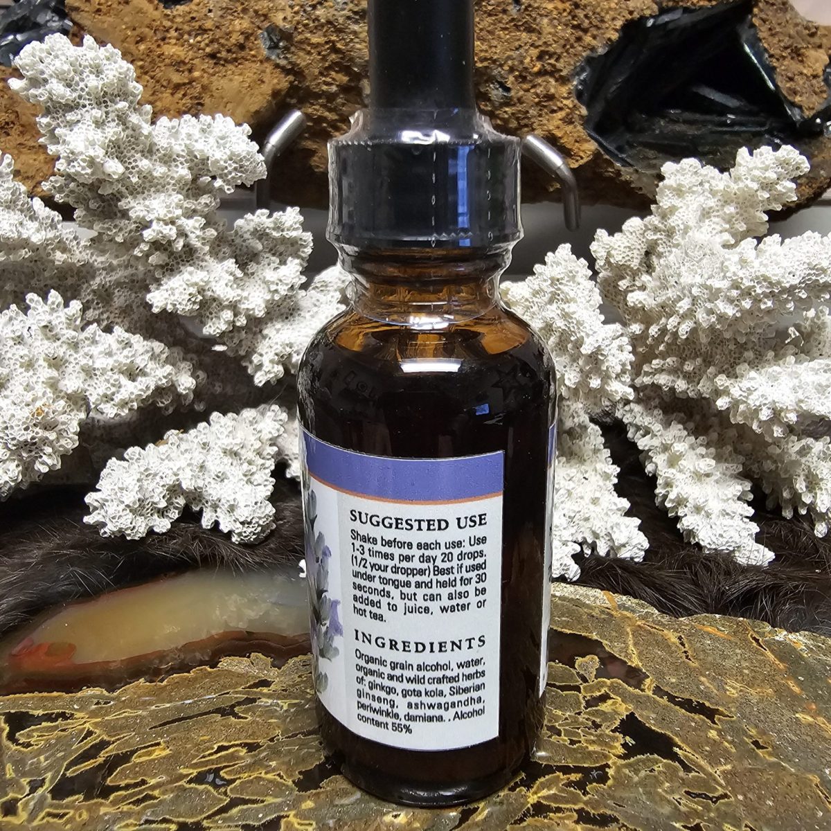 1000083387 Brain Fuel Tincture - Image 2