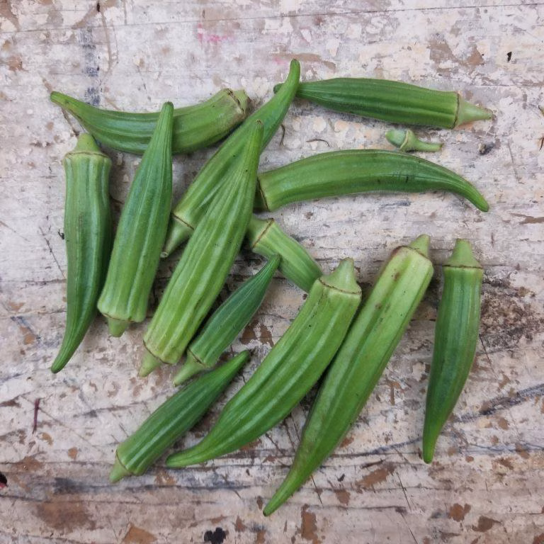 Okra Seeds - Clemson Spineless 80 With Thirtheen Green Okras Okra Seeds - Clemson Spineless 80 With Thirtheen Green Okras
