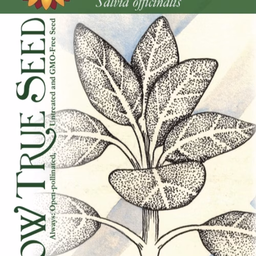Sage Seeds, Broad Leaf Culinary with printed label