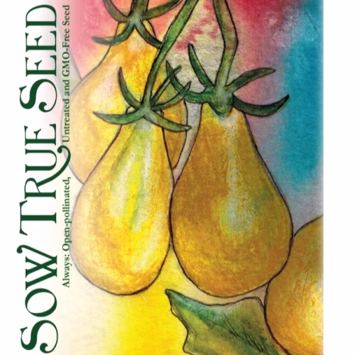 Cherry Tomato Seeds - Yellow Pear with printed label