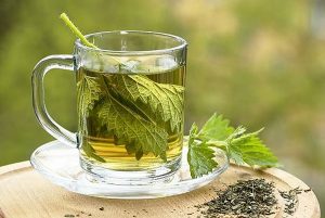 Immune-Boosting Recipes Nettle Tea In A Glass