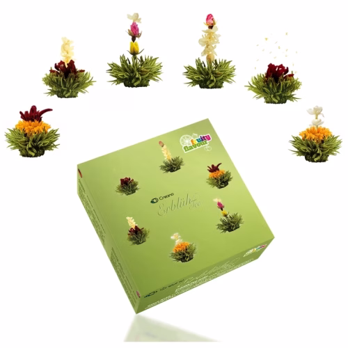 Creano Tea Flower Mix Blossom Tea Fruity Flavor with lots of different flavors