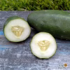 Pickling Cucumber Seeds - Bushy with sliced pickled cucumber on the table