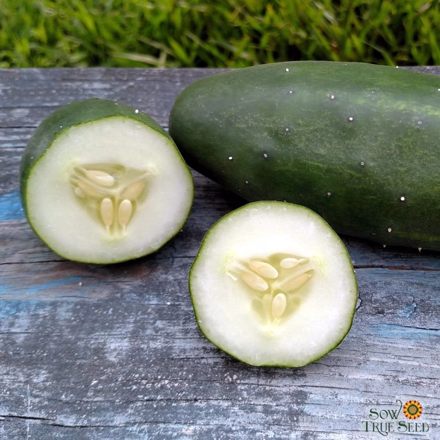 Pickling Cucumber Seeds - Bushy With Sliced Pickled Cucumber Pickling Cucumber Seeds - Bushy With Sliced Pickled Cucumber On The Table