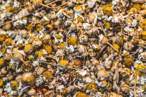 Diy Healing Baths And Soaks Dried Chamomile Petals Diy Healing Baths And  Soaks
