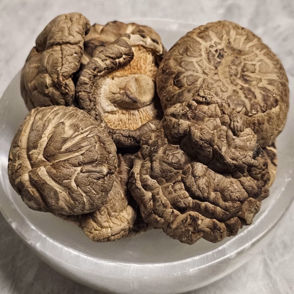 Shiitake Mushroom