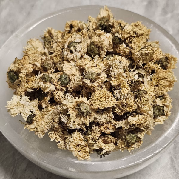 Chrysanthemum Herb