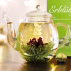 Creano Tea Flower Mix Blossom Tea Fruity Flavor in the teapot photo