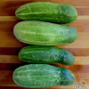 Pickling Cucumber Seeds - Bushy with four green cucumbers on the table