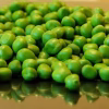 Shelling Pea Seeds - Green Arrow with lots of peas photo