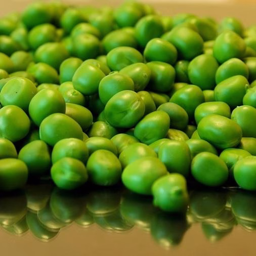 Shelling Pea Seeds - Green Arrow With Lots Of Peas Photo Shelling Pea Seeds - Green Arrow With Lots Of Peas Photo