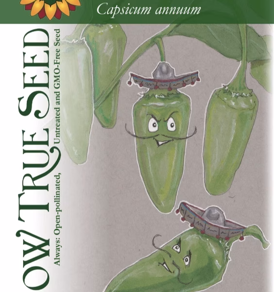 Hot Pepper Seeds - Early Jalapeño with printed photo