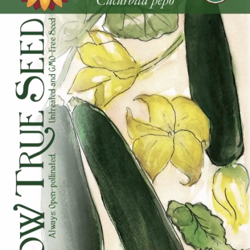 Summer Squash Seeds - Black Beauty Zucchini with printed label