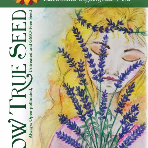 Lavender Seeds - English (Vera) with printed label photo