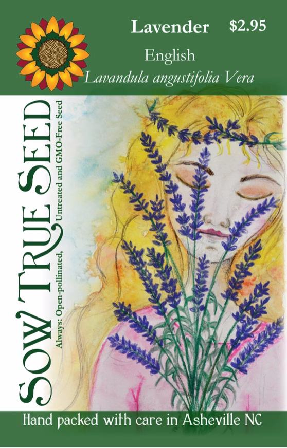 Lavender Seeds - English (Vera) with printed label photo