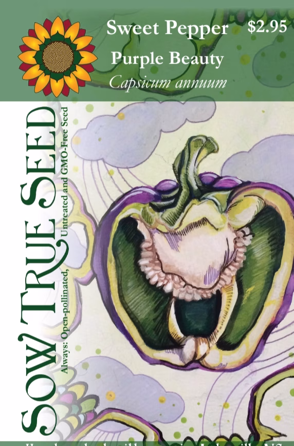 Sweet Pepper Seeds - Purple Beauty Sweet Pepper Seeds - Purple Beauty With Printing Label