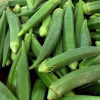 Okra Seeds - Clemson Spineless 80 with lots of green okra seeds