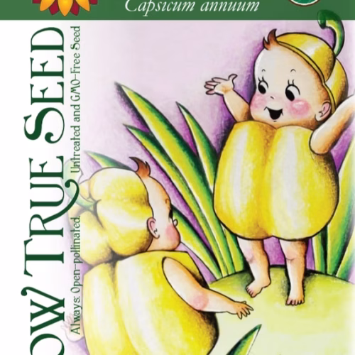 Sweet Pepper Seeds - Golden California Wonder with printed label