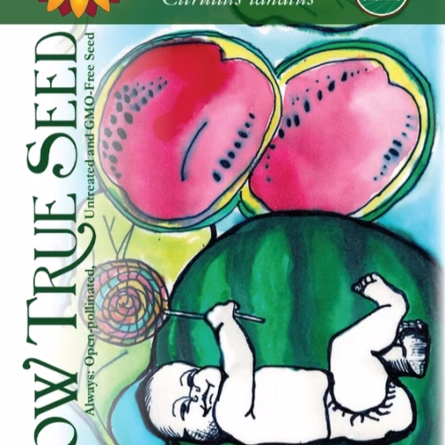 Watermelon Seeds - Sugar Baby with watermelon printed label
