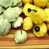 Summer Squash Seeds - Scallop Yellow Bush with green and yellow squash