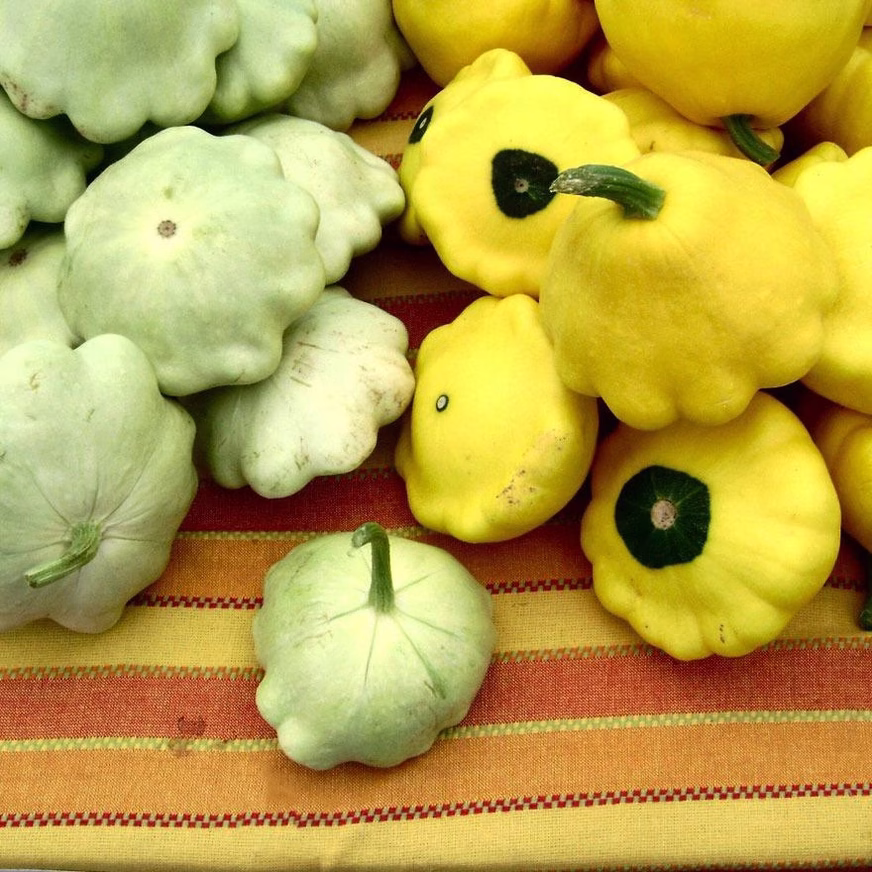 Summer Squash Seeds - Scallop Yellow Bush With Green And Yellow Squash Summer Squash Seeds - Scallop Yellow Bush With Green And Yellow Squash