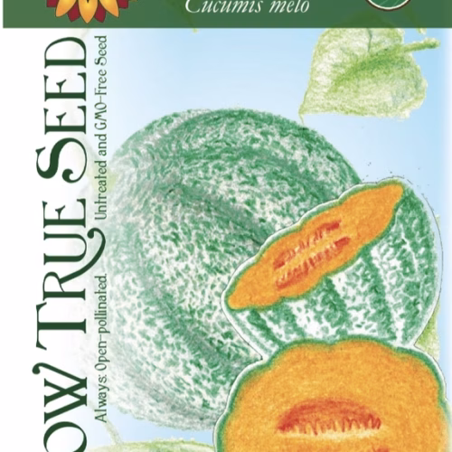 Melon Seeds - Hearts of Gold, Organic with printed label photo