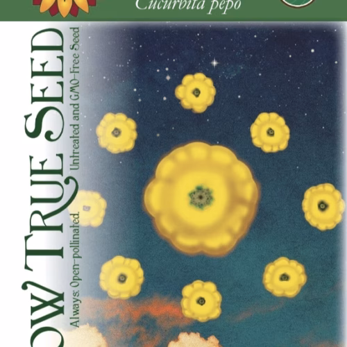 Summer Squash Seeds - Scallop Yellow Bush with printed label